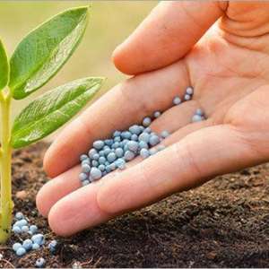 Urea Fertilizers